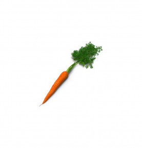 Carrot