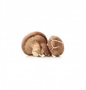 Mushrooms